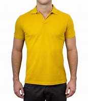 Image result for polo tee shirts colors