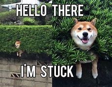 Image result for Stuck Funny Memes