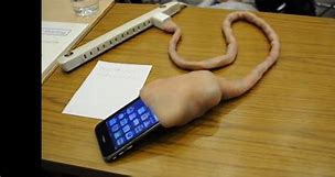 Image result for Flesh Made Phone Charger
