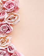 Image result for Fundo Rose
