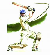 Image result for Cricket Magines