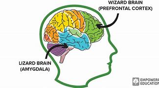 Image result for Lizard Brain Amygdala