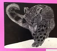 Image result for Scratch Art Animiton
