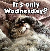 Image result for Wednesday Tired Meme