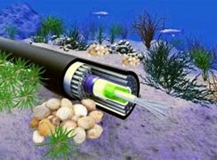 Image result for Submarine Fiber Optic Cable