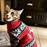 Image result for Cat Christmas Sweater Instsgram