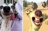 Image result for Sid the Sloth Look Alike