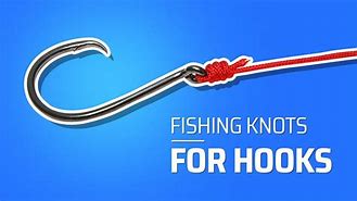 Image result for Two Snap Hooks Attached Together