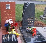 Image result for Brandon Bruce Lee