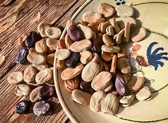 Image result for Fava Beans in Tagalog