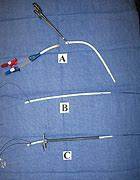 Image result for Trialysis Catheter with Pigtail