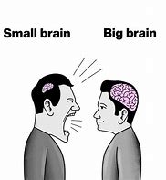 Image result for Large Brain vs Small Brain Meme