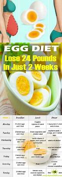 Image result for Chicken and Boiled Egg Diet