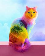 Image result for Cat with Rainbow Eyes
