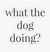 Image result for What the Heck Is the Dog Doing Meme