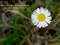 Image result for Cute Bible Verse Backgrounds