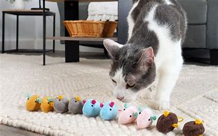 Image result for Cat Toy Mouse with Silver Vine Catnip Inside