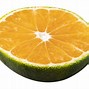 Image result for Orange Fruit Blank Background