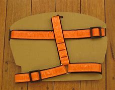 Image result for Harness Handicapping