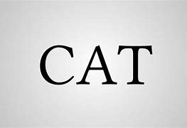 Image result for What Does Cat Stand For