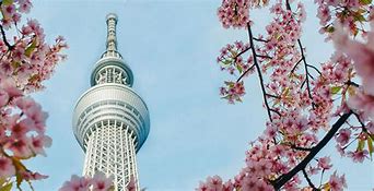 Image result for Tokyo Attractions