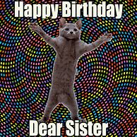 Image result for Happy Birthday Sister Funny Meme Cat