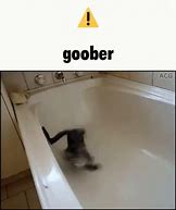 Image result for Silly Goober Cat