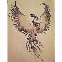Image result for Phoenix Bird Drawing