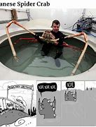 Image result for Japanese Spider Crab Meme