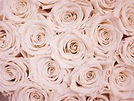 Image result for iPhone SE Rose Gold Wallpaper