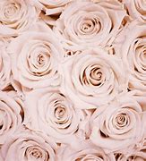 Image result for Aesthetic Wallpaper for Laptop Rose Gold