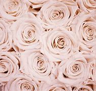 Image result for Pretty Rose Gold Computer Backgrounds