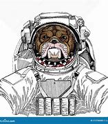 Image result for Galaxy Bulldog