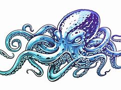 Image result for Octopus Vector Line Art