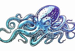 Image result for Octopus Vector Drawing