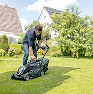 Image result for Eco Lawn Mower