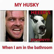Image result for Husky Meme
