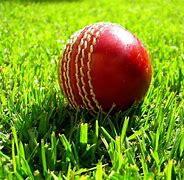 Image result for Cricket Image Title