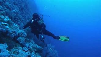 Image result for 45 Meters Deep Uncaged