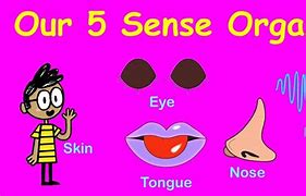 Image result for 5 Senses Crafts for Kids