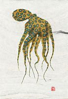 Image result for Blue-Ringed Octopus Ink