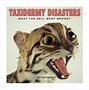 Image result for Bad Taxidermy Calendar