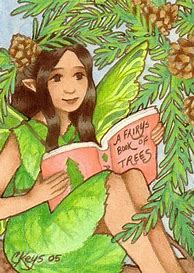 Image result for Tree Fairies