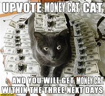 Image result for Lucky Money Cat Meme