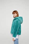 Image result for Lizzo Fur Coat