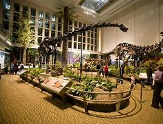 Image result for Carnegie Natural History Museum Pittsburgh