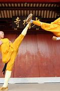 Image result for Deadliest Martial Arts Styles in the World