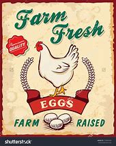 Image result for Vintage Chicken Farm
