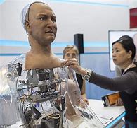Image result for Real Life Robots China