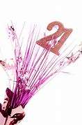 Image result for 21